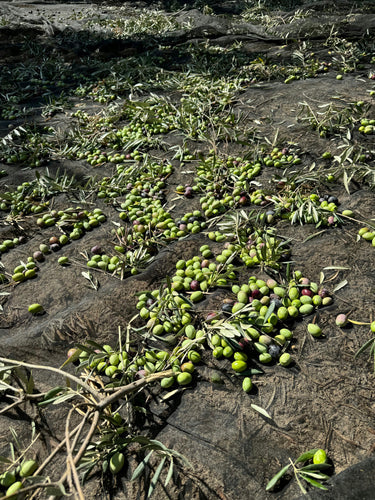 Filtered vs Unfiltered Olive Oil: Your Questions Answered