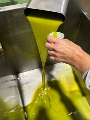 Daily Extra Virgin Olive Oil Shot