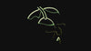 Graza Olive Oil Teaser 